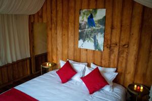 Birdglamping Los Arboles Glamping Hotel