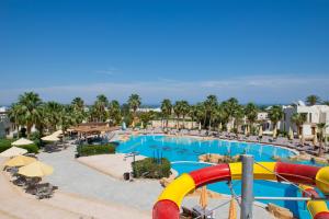 Amphoras Aqua Adults Friendly