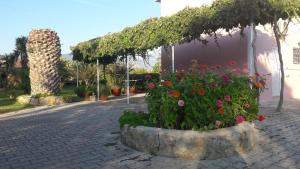 Jerry Apartments Kefalloniá Greece