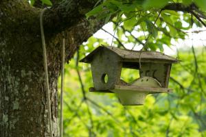 Lodges La Clairiere du Verbamont : photos des chambres