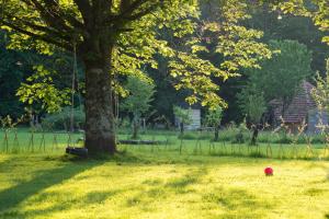 Lodges La Clairiere du Verbamont : photos des chambres