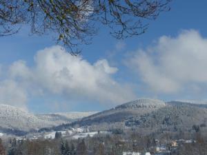 Chalets Chalet avec Jacuzzi et Piscine, deco soignee esprit cocooning : photos des chambres