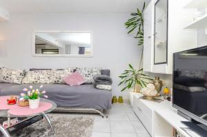 Apartment Branislava