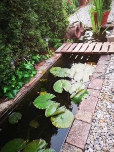 Bed and Breakfast 24