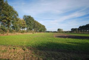 Ferienwohnung Am Moor, 35629