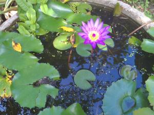 Ban Sabai Sabai Guest House