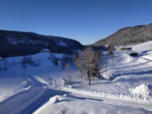Les Chamois du Jura à Lajoux