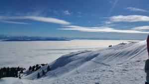 Appartements Les Chamois : photos des chambres