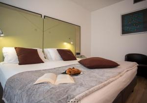 Standard Double Room room in Hotel Buonconsiglio