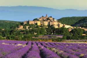 Maisons de vacances MAGNIFIQUE VILLA DANS LE LUBERON : photos des chambres