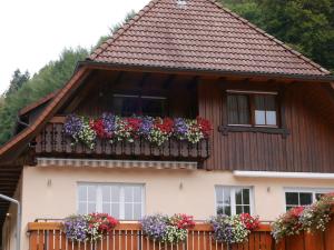 Apartmán Schillingerhof Wolfach Německo