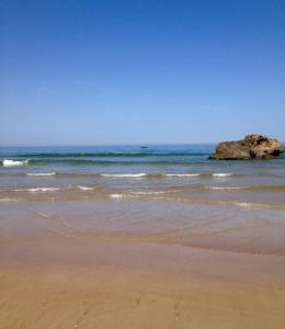 Résidence papillon bleu