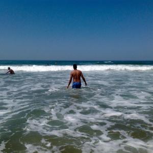 Résidence papillon bleu