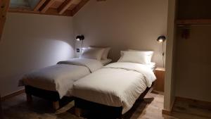 Chalets Chalet l'Ardoisiere : photos des chambres