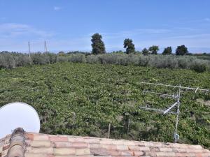 Casa Del Leone Rosso e Welness a due passi dalla Costa dei Trabocchi
