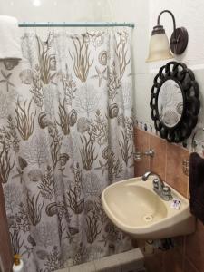 Pension Baja Paradise