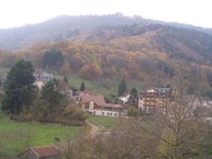 Appartements Au Bon Logis : photos des chambres