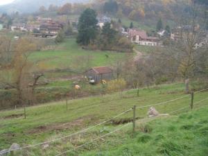 Appartements Au Bon Logis : photos des chambres