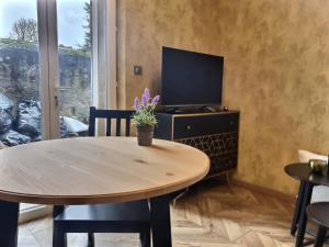 Appartements Le Mangin - Studio avec terrasse : photos des chambres