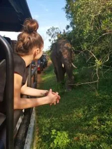 Lavender Home Yala Safari - Walagampattuwa