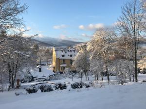 Villa Elise Park Pension