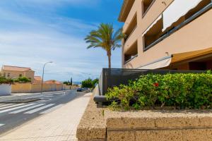 Relax moment in Paraiso 2 - TENESOL RENTALS