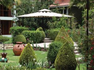 Hotel Arrecife de Coral