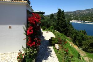 Villa Polyxeni Apartments Epirus Greece