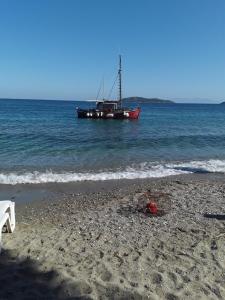 Azalea Skiathos Greece