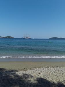 Azalea Skiathos Greece