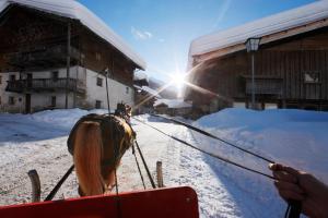 Apartment Antholzersee