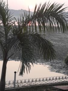 Lime-Villa on Ganga Ghat