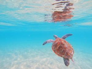 Dees Retreat Rainbow Beach