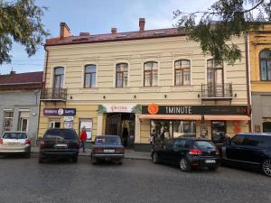 Wonderful flat on city center (Mukachivska 421)