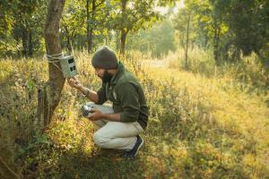Pench Jungle Camp
