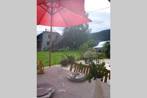 Appartements Studio Les Chanterelles : photos des chambres