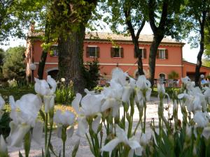 Casa Vacanze La Meridiana