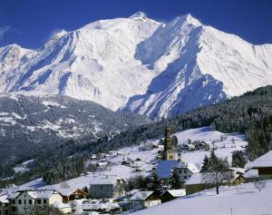 Appartements Coeur des Alpes : photos des chambres