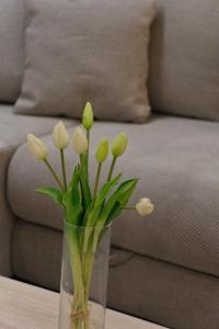 Apartment Anna - FREE Pickup from OR Dropoff to Zagreb airport AT ANY TIME, please give three days a 