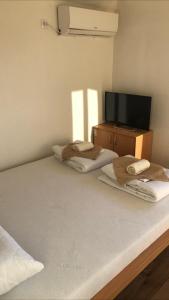 Brvnare Rodjak sa sela