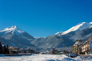 Skiing, Walking, Enjoying in mountains