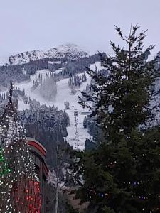 Tyndalstone Lodge 3 Bedroom in the Heart of Village North Whistler