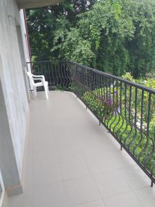 Vila Elena si Ionut