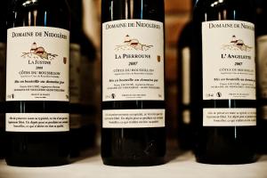 Domaine de Nidolères