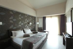 Hotel Stara Planina