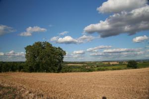 Sejours a la campagne Puechblanc Gites et Chambre d'hote dans le Triangle d'or Gaillac-Albi-Cordes sur Ciel : photos des chambres