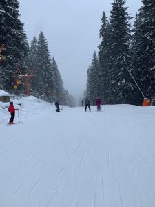 Skiing Walking Enjoying in mountains