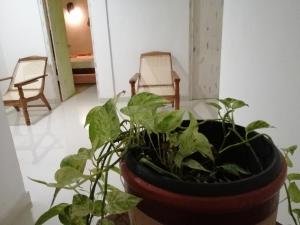Sithila Villa