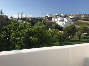 Garden Apartment Myconos Greece