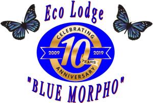 Ecolodge Blue Morpho